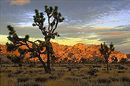 Sea Mountain Resort - Desert Hot Springs
